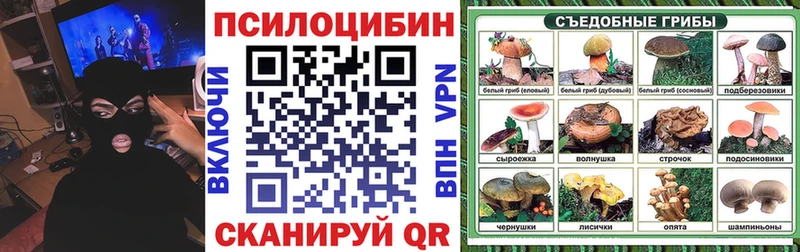 Галлюциногенные грибы MAGIC MUSHROOMS  Ветлуга 