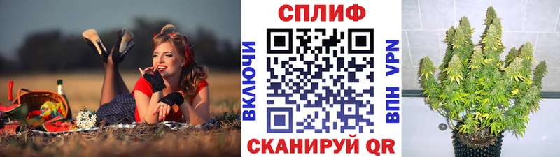 Шишки марихуана Bruce Banner  Ветлуга 